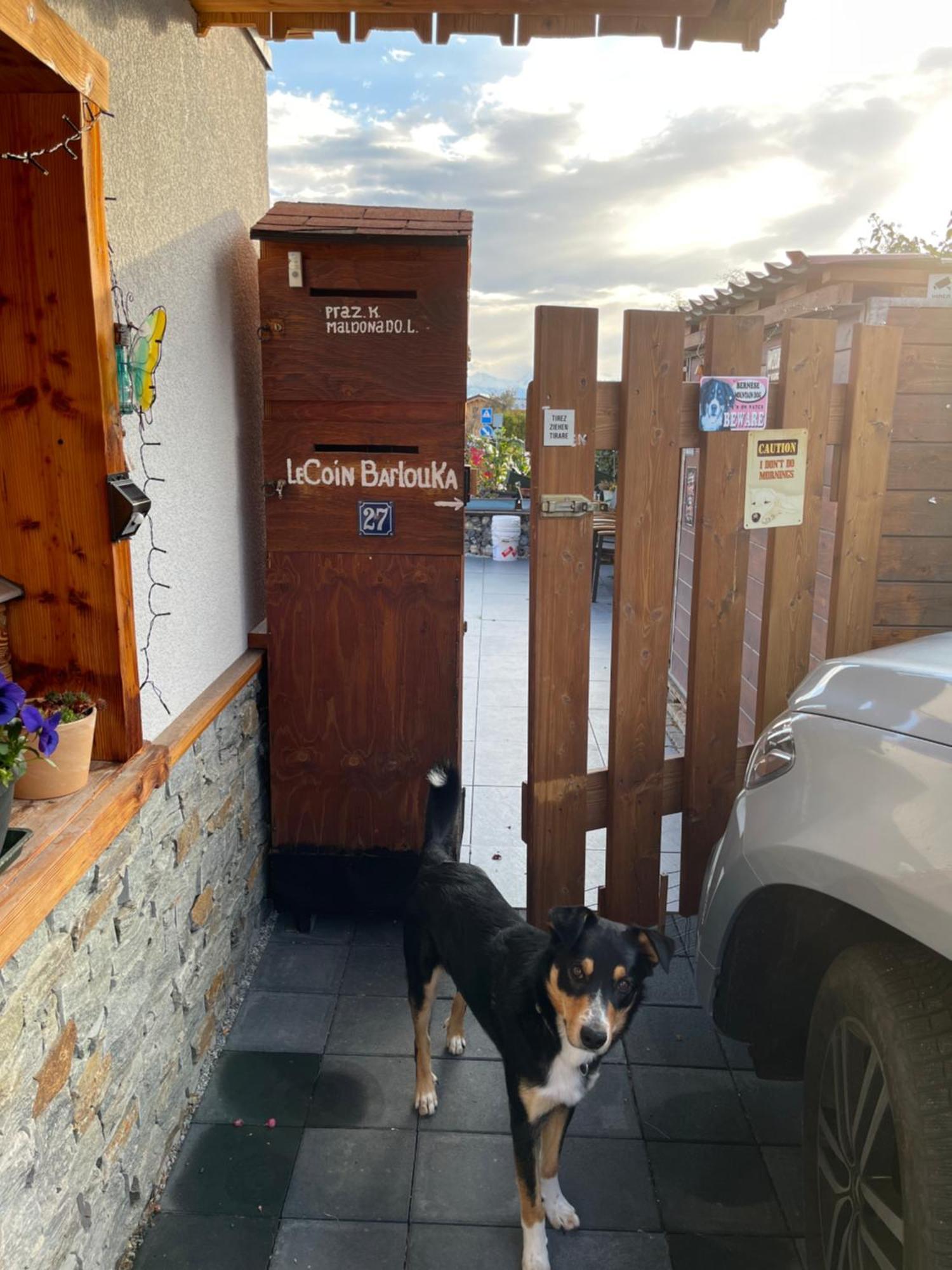 Appartamento Le Coin Barlouka Veysonnaz Esterno foto